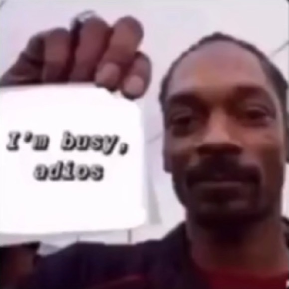 Meet your Posher, Lilly - Picture 1 of 1